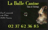 Salon de toilettage La Bulle Canine 