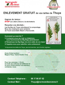 Enlèvement gratuit des tailles de tuyas