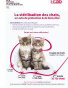 Stérilisation des chats